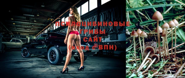 ПСИЛОЦИБИНОВЫЕ ГРИБЫ Навашино