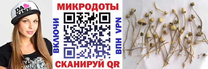 наркота  Владивосток  ОМГ ОМГ   Псилоцибиновые грибы MAGIC MUSHROOMS 